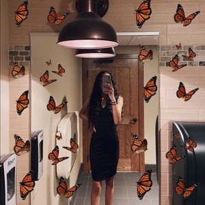 Meet your Posher, Lazay